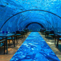Exploring the World of Restaurants and Cafes
