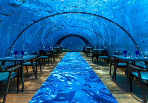 Exploring the World of Restaurants and Cafes